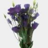 Purple Lisianthus Flowers - By The Bunch -Flower Plants Sales 2024 00060A Purple Lisianthus Flowers