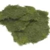 Sheet Moss Greenery -Flower Plants Sales 2024 00114A Sheet Moss Greenery