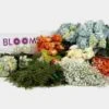 Traditional Rose & Hydrangea DIY Wedding Pack -Flower Plants Sales 2024 00758 Pack 06 Roses Hydrangea Fillers Greens 100 30