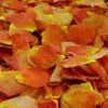 Orange / Yellow FD Rose Petals (30 Cups) 2 Orange / Yellow FD Rose Petals (30 Cups) -Flower Plants Sales 2024 01667 Yellow Orange FD Rose Petals 30 Cups