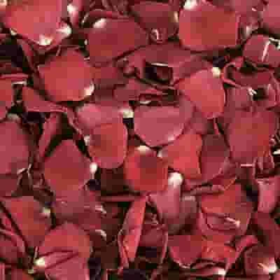Deep Pink & Red FD Rose Petals (30 Cups) 3 Deep Pink & Red FD Rose Petals (30 Cups)