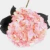 Light Pink Hydrangea Flower -Flower Plants Sales 2024 01829A Spray Tinted Hydrangea Light Pink