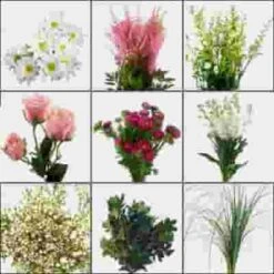 Blooms Classy Thinkin' Pink Wildflower Pack -Flower Plants Sales 2024 01958 Blooms Pink White Wildflower Pack