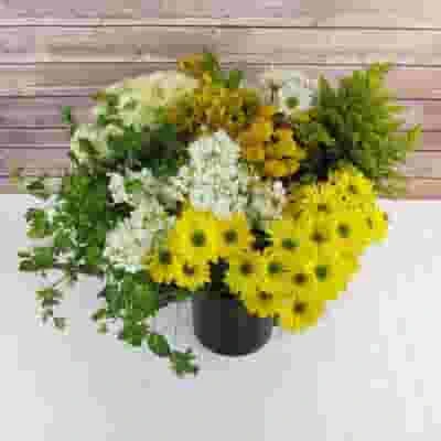 Blooms Enchanted Meadow Wildflower Pack 4 Blooms Enchanted Meadow Wildflower Pack - Image 2