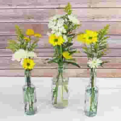 Blooms Enchanted Meadow Wildflower Pack 3 Blooms Enchanted Meadow Wildflower Pack