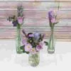 Blooms Lovely Lavender Garden Wildflower Pack -Flower Plants Sales 2024 01960A Blooms Lovely Lavender Garden Wildflower Pack