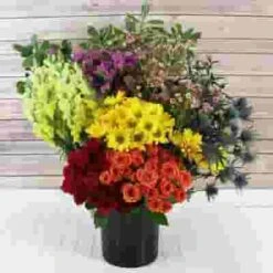 Blooms Mix & Match Wildflower Pack 11 Blooms Mix & Match Wildflower Pack -Flower Plants Sales 2024 01962E Blooms Mix Match Rainbow Wildflower Pack