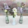 Blooms Intimate Backyard Party Wildflower Pack -Flower Plants Sales 2024 01963A Blooms Intimate Backyard Party Wildflower Pack