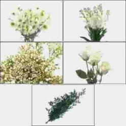 Blooms Intimate Backyard Party Wildflower Pack 9 Blooms Intimate Backyard Party Wildflower Pack -Flower Plants Sales 2024 01963 Blooms Intimate Backyard Party Wildflower Pack