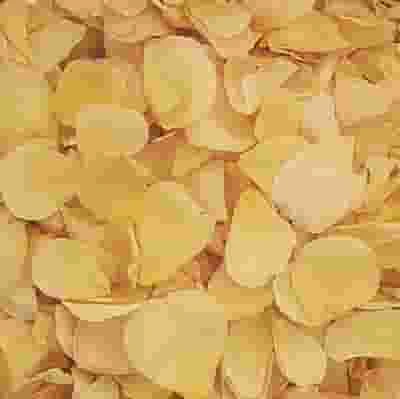 Soft Yellow Rose Petals (30 Cups) 3 Soft Yellow Rose Petals (30 Cups)