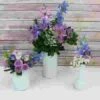 Blooms Rustic Romance Wildflower Pack -Flower Plants Sales 2024 02295F Blooms Rustic Romance Wildflower Pack