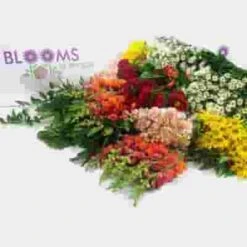 Blooms August Hay Ride Wildflower Pack -Flower Plants Sales 2024 02296A Blooms August Hay Ride Wildflower Pack