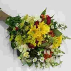 Blooms August Hay Ride Wildflower Pack -Flower Plants Sales 2024 02296D Blooms August Hay Ride Wildflower Pack