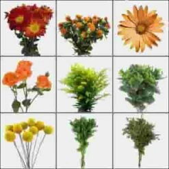 Blooms Pumpkin Patch Wildflower Pack -Flower Plants Sales 2024 02298 Pumpkin Patch Wildflower Pack