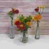Rustic Lakeside Wildflower Pack 1 Rustic Lakeside Wildflower Pack -Flower Plants Sales 2024 02299A Rustic Lakeside Wildflower Pack