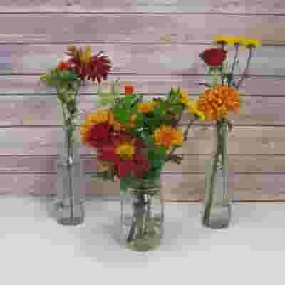 Rustic Lakeside Wildflower Pack 3 Rustic Lakeside Wildflower Pack