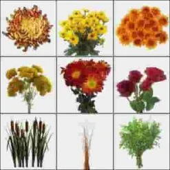 Rustic Lakeside Wildflower Pack 7 Rustic Lakeside Wildflower Pack -Flower Plants Sales 2024 02299 Rustic Lakeside Wildflower Pack