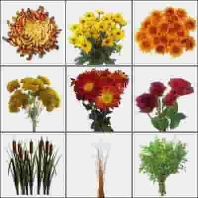 Rustic Lakeside Wildflower Pack 5 Rustic Lakeside Wildflower Pack - Image 3