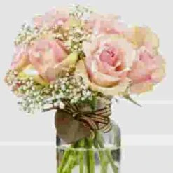 Gypsophila Million Star Flowers 11 Gypsophila Million Star Flowers -Flower Plants Sales 2024 02301B Gypsophila Million Star