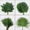 Wedding/Event Exotic Greens Bulk Pack