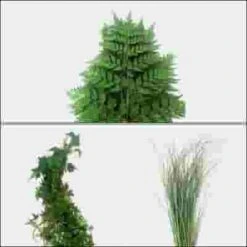 Classic Greens Bulk Pack - Mini