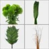 Sleek Greens & Fillers Bulk Pack -Flower Plants Sales 2024 02326 Sleek Greens Fillers Bulk Pack