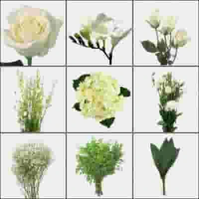 Pure White DIY Wedding Flower Pack 3 Pure White DIY Wedding Flower Pack