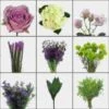 Punchy Purple DIY Wedding Flower Pack -Flower Plants Sales 2024 02380 Punchy Purple DIY Wedding Flower Pack