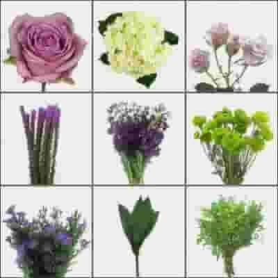 Punchy Purple DIY Wedding Flower Pack 3 Punchy Purple DIY Wedding Flower Pack