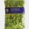 Super Moss Light Green -Flower Plants Sales 2024 02627 Super Moss Light Green