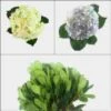 Hydrangea Flower DIY Flower Pack -Flower Plants Sales 2024 02680 Hydrangea Wedding Pack