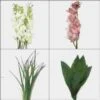 Orchid Flowers DIY Flower Pack -Flower Plants Sales 2024 02690 Orchid Wedding Pack
