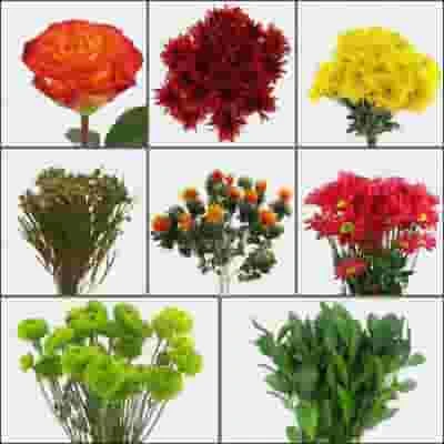 DIY Thanksgiving Flower Pack 4 DIY Thanksgiving Flower Pack - Image 2