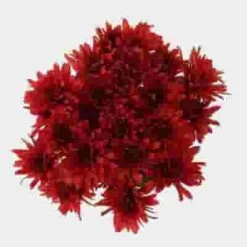 DIY Thanksgiving Flower Pack 15 DIY Thanksgiving Flower Pack -Flower Plants Sales 2024 04822D Do It Yourself Thanksgiving Flower Pack