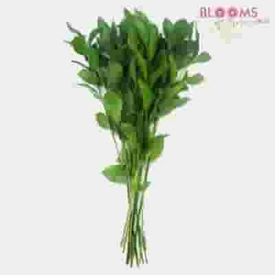 DIY Thanksgiving Flower Pack 12 DIY Thanksgiving Flower Pack - Image 10