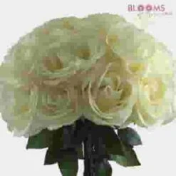 Rose Tibet 50 Cm. -Flower Plants Sales 2024 06187C Rose Tibet 50 cm