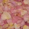 Sumptuous Romance Fd Rose Petals (30 Cups) -Flower Plants Sales 2024 06211A Sumptuous Romance Fd Rose Petals 30 Cups