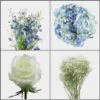 It's A Boy! Baby Shower DIY Flower Pack -Flower Plants Sales 2024 06368A Boy Baby Shower Flower Pack