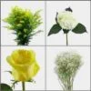 It's A Surprise! Baby Shower DIY Flower Pack -Flower Plants Sales 2024 06370B It s a Surprise Baby Shower DIY Flower Pack