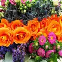 Bohemian DIY Wedding Flower Pack 7 Bohemian DIY Wedding Flower Pack -Flower Plants Sales 2024 06390B Bohemian DIY Wedding Flower Pack