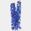 Hybrid Delphinium Dark Blue Flower -Flower Plants Sales 2024 07474B Hybrid Delphinium Dark Blue