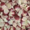 Blushing Bride Rose Petals (30 Cups) -Flower Plants Sales 2024 07484A Blushing Bride Rose Petals 30 Cups