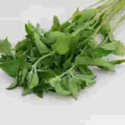 Assorted Herbs (6 Bunches) -Flower Plants Sales 2024 07671D Assorted Herbs 6 Bunches