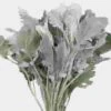 Dusty Miller Greenery Assorted (6 Bunches) -Flower Plants Sales 2024 07678C Dusty Miller Greenery Assorted 6 Bunches