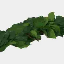 Garland Single Green - 8 Feet 13 Garland Single Green - 8 Feet -Flower Plants Sales 2024 07681C Garland Single Green 8 Feet
