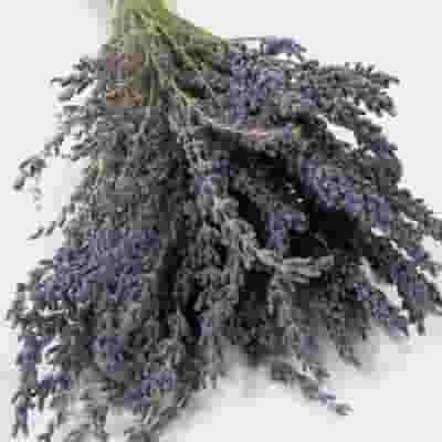 Lavender Dried Flower 4 Lavender Dried Flower - Image 2
