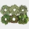 Specialty Greens Wreath 12 Inch -Flower Plants Sales 2024 07755I Specialty Greens Wreath 12 Inch