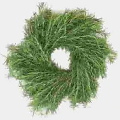 Specialty Greens Wreath 16 Inch -Flower Plants Sales 2024 07756O Specialty Greens Wreath 16 Inch