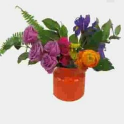 Festival Wedding Flower Pack -Flower Plants Sales 2024 07805K Festival Wedding Flower Pack