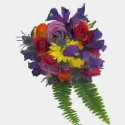 Festival Wedding Flower Pack -Flower Plants Sales 2024 07805L Festival Wedding Flower Pack